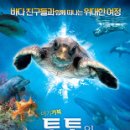 토토의바다