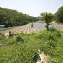 풀무골농장 이미지