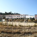 장호중학교 이미지