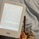 가을의 선선함이 물든 일상이요~