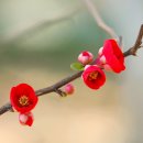 안산식물원 이미지