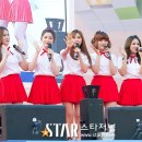 틴트(TINT) 이미지