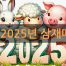 2025년(을사년) 삼재 띠별 돼지띠, 토끼띠, 양띠, 나이별 운세 풀이 이미지