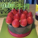 죽전1동 | 두.초.생 구! 했어요!!!! (현장구매 팁,두초생 맛 후기) 투썸 분당오리역 주말 오픈시간대 현장구매