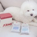 더펫플레이스 네이버블로그