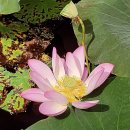 덕진공원(후문) 이미지