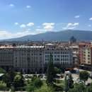 레메디움 이미지