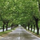 스파피아 이미지