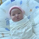 홈스토리생활가사용인지사 | 마포구 산후도우미 드림가산후도우미 3주 후기