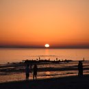 보령종합터미널 이미지