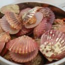 비나리마을 이미지