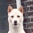 레인스튜디오 - 서귀포시 세화강왓로 66-9 | 레인스튜디오