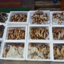 의병대로 13길+풍양로 9길+독순로11길 | 제천여행 2시간 동안 맛보는 제천 5미+커피는 덤, 가스트로 투어