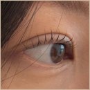 다인뷰티 이미지