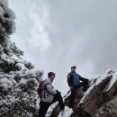 박달산 | 박달산 산악회 10주년 100차 산행｜월영산 출렁다리·부엉산 설경 산행 기록