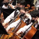 첼로(성인반) 이미지