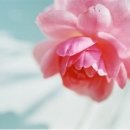 좋은과일 - 남양주시 평내로29번안길 20 | 좋은과일