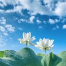 함안도서관 이미지