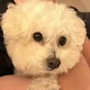 스테이인터뷰 노호 이미지