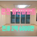 보광스타공인중개사사무소 이미지