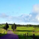 불란지스테이 이미지