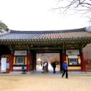 순천-13호 Daum카페