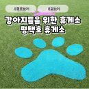 평택호대교 주변 | 반려견들과 함께하는 여행, 반려견을 위한 펫공원이 조성되어있는 평택호휴게소
