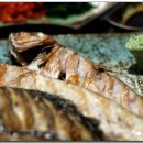 경동지플러스상가 이미지