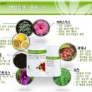 이지핏다이어트 - 해운대구 좌동순환로 174 | 이지핏다이어트
