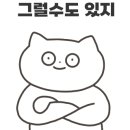 바이디어