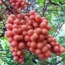 방동농장 이미지