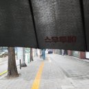 9월 4주_ 쿨키드네버다이