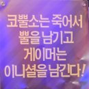테트리스 게임존 이미지