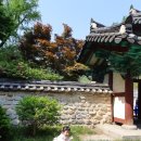 구로-현장-구로-1654 | 볕이 좋은 날, 아이와 전주 한옥마을 나들이 ㅡ전주 경기전, 전주동헌, 어진박물관, 전주향교
