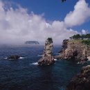 제주배또롱 이미지