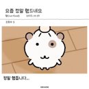 생일맞이🎂 안동 1박 2일 여행🩱👒🐈‍⬛