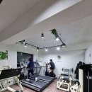 아일랜드짐 이미지