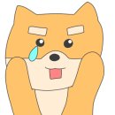 코인워시천안두정