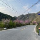 홍천와캠핑 네이버블로그