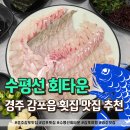 감포횟집 | 경주 감포 횟집 맛집 수평선회타운 방문후기