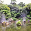 미르조경