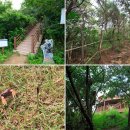 남도삼백리길(10코스) 이미지