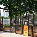 마들테니스장 이미지