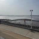 [여행] 3월 서울 근교 드라이브: 오이도 당일치기 여행, 본가청담칼국수 후기