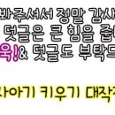 태자손 이미지