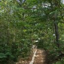 모라1동 작은도서관 | 부산 운수사//백양산/사찰 나드리/걷고 힐링하고 맛점하고 풍경사진촬영하고/오랜 세월과 바람 속의...