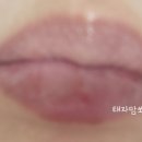 365일 입술 트는 사람에게 필요한 립케어 제품 한번 올려봄 (뒤늦은 후기)