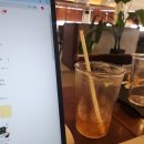 블루베리크림치즈와플 핸즈커피 효자강변점 형산강변 와플맛집