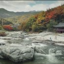 농월정