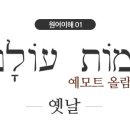 올람 이미지